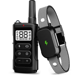 LeadGo electronic training collar with long-range remote for outdoor training.