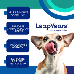 Leap Years Soft Chew packaging highlights veterinarian-formulated dog supplement.