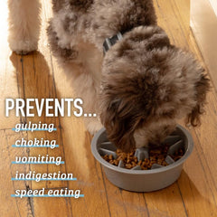 Leash Boss puzzle feeder dog bowl engages dogs during meals.