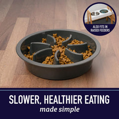 Leash Boss slow feeder dog bowl 2cup with non-slip base prevents spills.