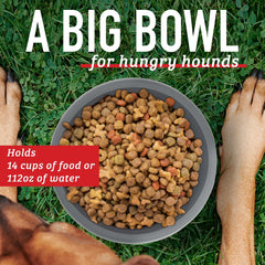 Leash Boss XL adventure-lip bowl designed for easy carrying on outings.