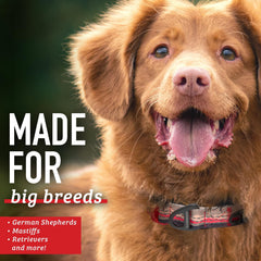 Leash Boss XL durable-plastic bowl built to withstand rugged play.