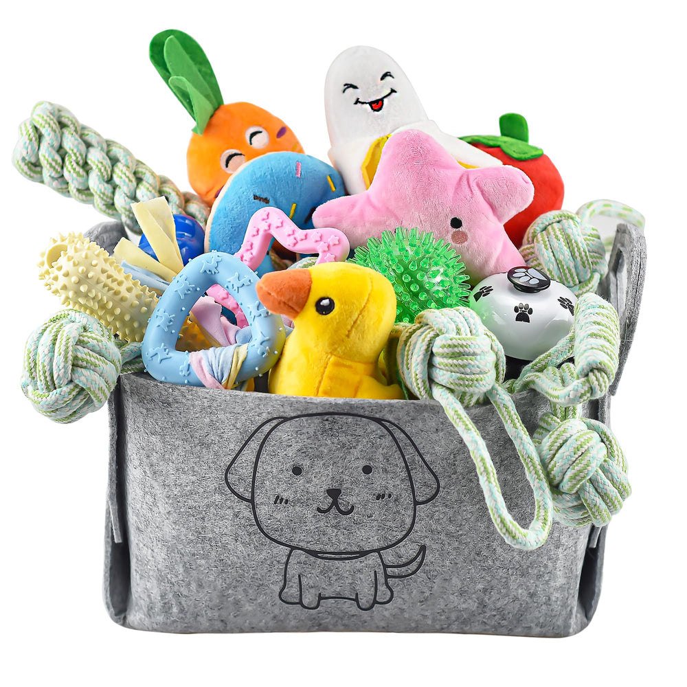 LECHONG 24-pack puppy toys with storage bin for organized play and teething.