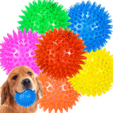 LECHONG 6-pack squeaky ball front view for engaging outdoor play