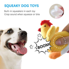 LEGEND SANDY squeaky chicken toy engages dogs with varied textures for interactive play.