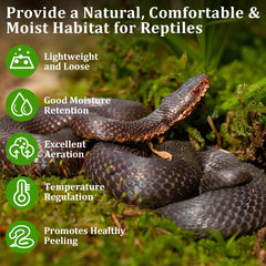 Legigo moss spread in terrarium provides natural humidity and soft bedding