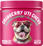 LEGITPET Cranberry UTI Chews bottle displayed for convenient daily urinary support.