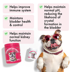LEGITPET Cranberry UTI Chews dog with tasty chicken flavor ready for daily treats.