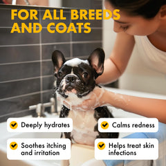 LEGITPET Oatmeal Shampoo foamy lather on a dog's coat