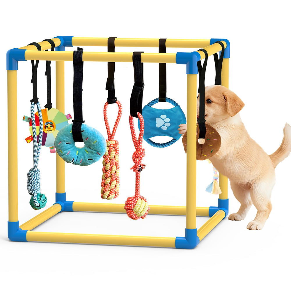 Lehorra Puppy Play Gym front view for indoor small dog play