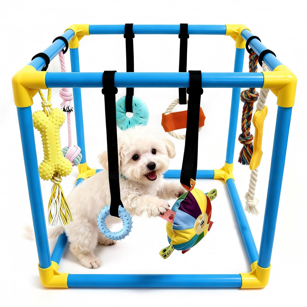LemSen Puppy Play Gym assembled frame for safe indoor exploration.