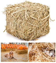 Lengba natural straw bale for cat shelter provides cozy, dry bedding outdoors