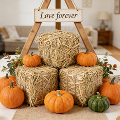Lengba straw bedding for feral cats keeps outdoor spaces warm and dry