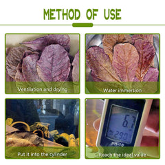 LeonBach Indian almond leaves enhancing tank aesthetics and subtle tannin tint.