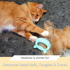 Leo's Paw mint color packaging highlights ease of use.