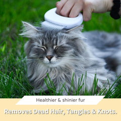 Leo's Paw Shell Comb suitable for dogs and rabbits for effective grooming