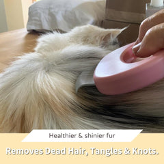 Leo's Paw Two-in-One Hair Removal keeps fur tidy while massaging for comfort
