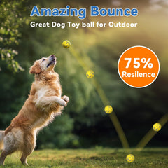 Lepawit bouncy squeaky ball for indoor and outdoor play.