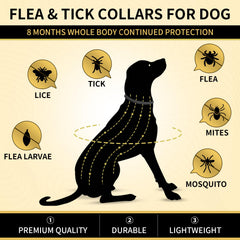 Lerqua flea collar worn on a dog neck for continuous protection.