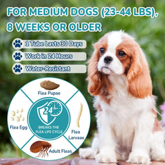 Lerqua drops dispersed through a dog's coat for full-body coverage