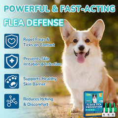 Lerqua fast-acting drops provide protection within 24 hours