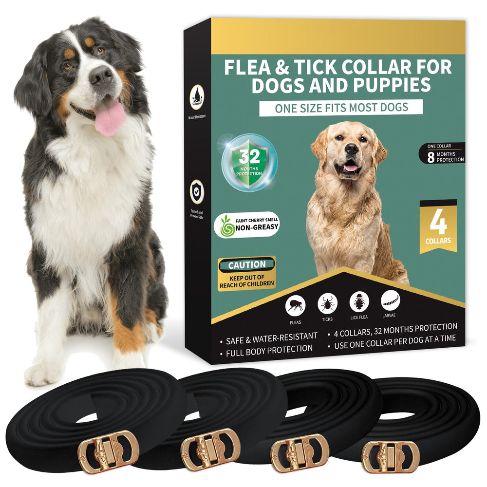 Lerqua four-pack dog flea collar packaging for easy multi-dog protection.