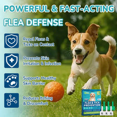 Lerqua water-resistant flea drops remain effective after rain for small dogs.