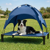 Lesguyor elevated dog bed with canopy shows quick tool-free outdoor setup