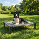 Lesguyor elevated dog bed mesh top for cooler naps