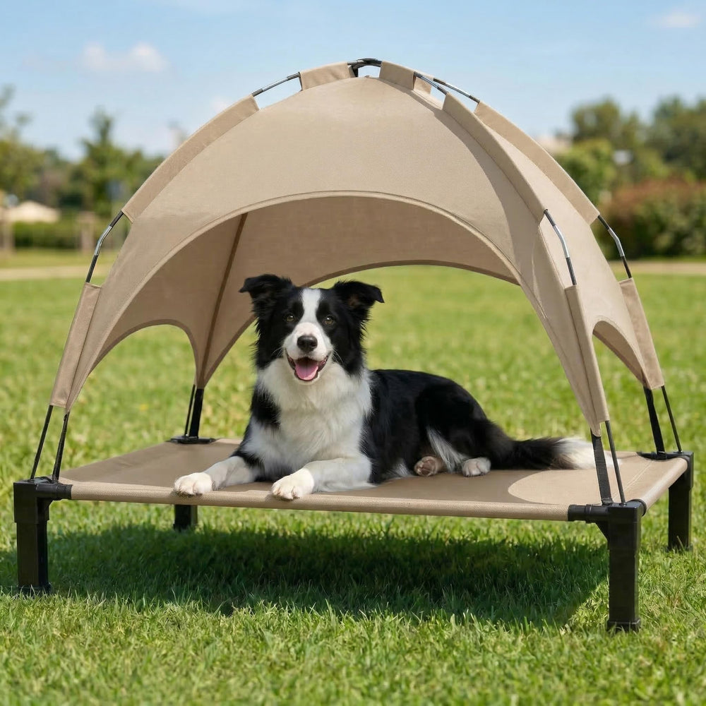 Lesguyor elevated dog bed with canopy provides shade and cooling for outdoor lounging.