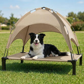 Lesguyor elevated dog bed with canopy provides shade and cooling for outdoor lounging.