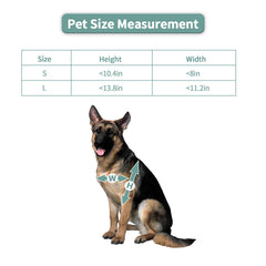 Lessmon Large Doggie Door snap-in closing panel controls outdoor access for pets.