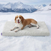 LE SURE cooling dog bed front view with breathable foam supports joints and helps stay cool.