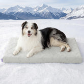 LE SURE XL cooling dog bed front view showing instant cooling on contact