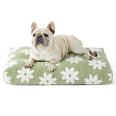 LE SURE medium dog bed with removable green cover for easy cleaning and maintenance.