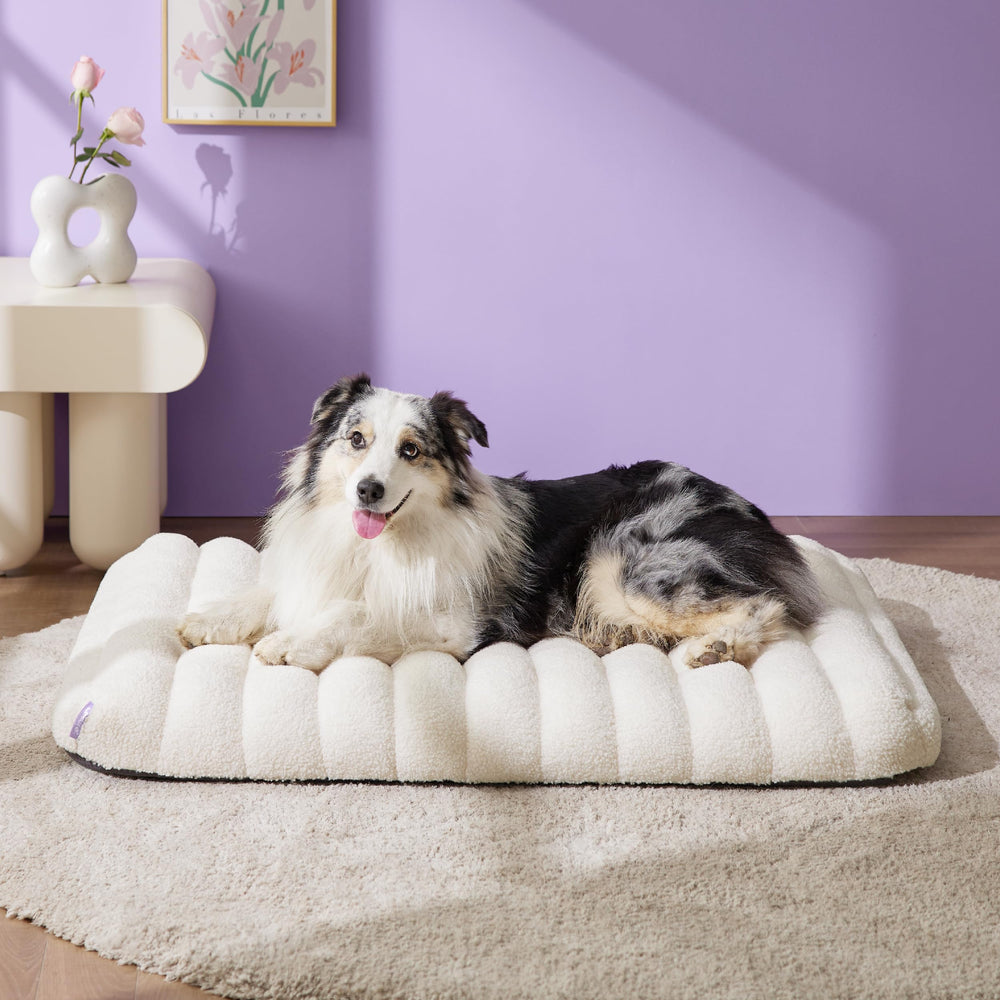 LE SURE orthopedic dog bed in cream, front view with plush support.