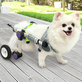 LetPetRun adjustable dog wheelchair supports hind legs for improved mobility.