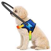 LetPetRun blind dog halo harness front view highlighting the protective halo for safer navigation.