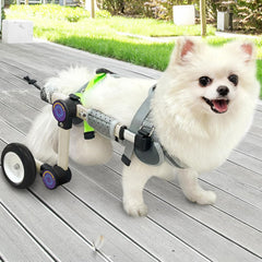 LetPetRun dog wheelchair front view shows easy fit and gentle support for hind-leg mobility.