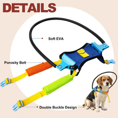 LetPetRun halo boundary in action assists dogs during outdoor walks.