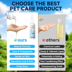 Grooming session with LetsFeed for dogs and cats demonstrates multi-function care and detangling.
