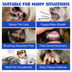 LHQR dog dental powder probiotics graphic indicating 5-strain support