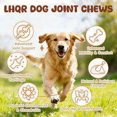 LHQR glucosamine bottle label close-up highlights key ingredients for mobility.