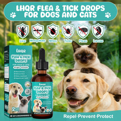 LHQR Flea Tick Drops close-up shows herbal blend for pets.