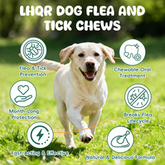 LHQR multivitamin blend chews emphasizing vitamins A and E for wellbeing.