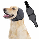 LIANZIMAU Quiet Ears dog noise wrap for calmer sessions during loud events.