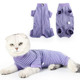 LIANZIMAU cat recovery suit provides a secure barrier for wounds and licking prevention.