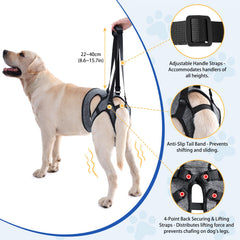 LIANZIMAU adjustable dog sling abdomen and leg straps for custom fit