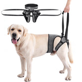 LIANZIMAU dog sling large-dog hind-leg support for easier mobility