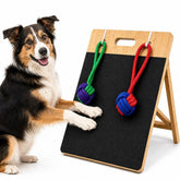 Liathig dog scratch board nails, a safe indoor nail care solution for anxious dogs.